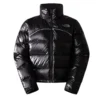 2000 Retro Nuptse Jacket