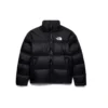 North Face Puffer Jacket 700